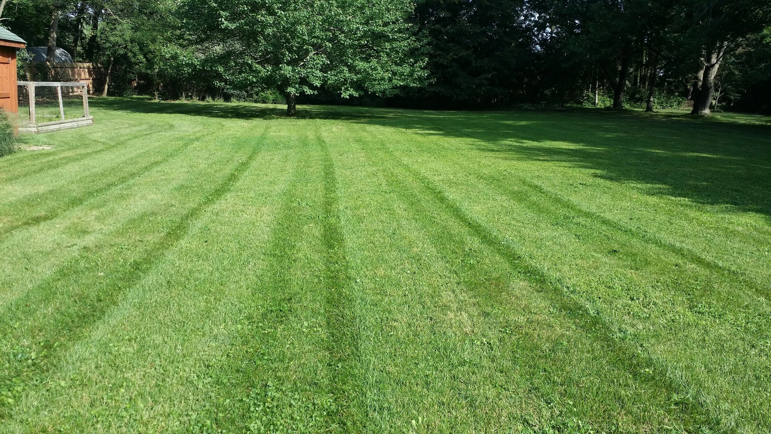 Dillon Maintenance Lawn Maintenance, Commercial Snow, Snow Plow