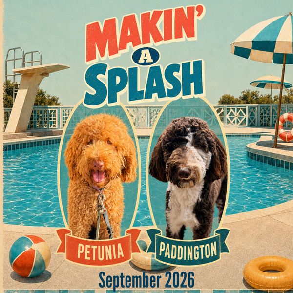 Two dogs by a pool with 'Makin' a Splash' text and September 2026 date.