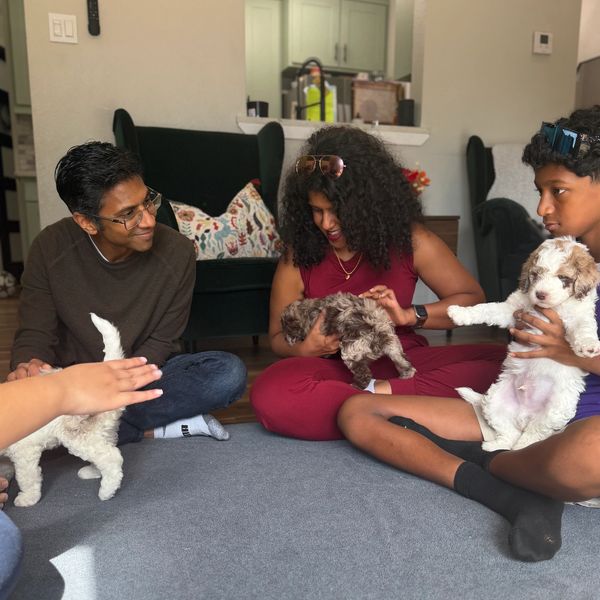 Family sitting on the floor playing with puppies in a cozy living room.