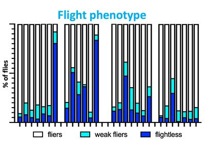 Plot showing flight ability.