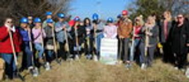 Group of people planting trees in a sunny outdoor area.