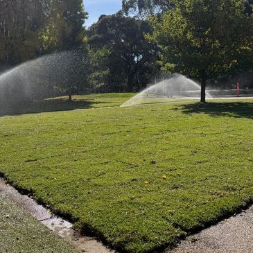 Sprinklers watering a green lawn on a sunny day.