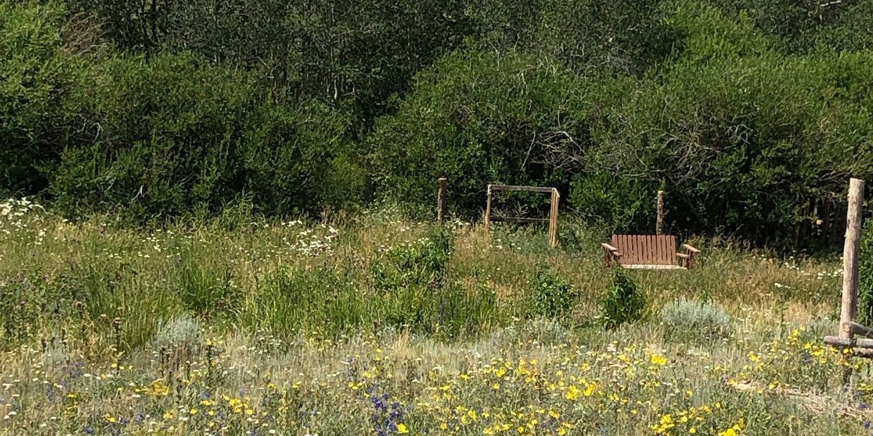 Gorgeous Freedom Acres a Love Wild Horses cooperative Re-Wilding Project!