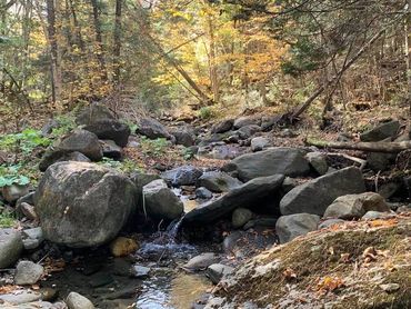 The brook at the Conant homestead in Barnet, VT.