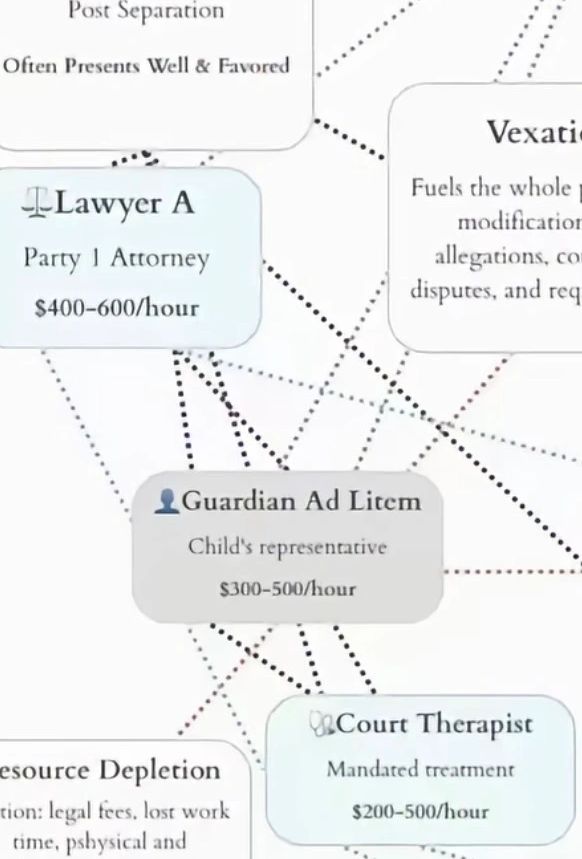 Family court system network