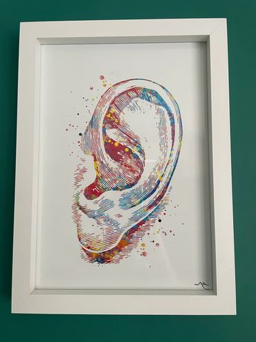 Watercolour art print by CocoMilla. Colourful picture of outer ear.