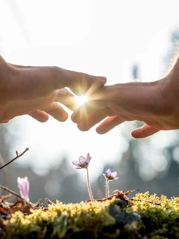 Sunlight shining through hands that are giving Reiki to spring flowers