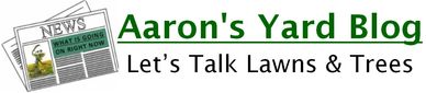 Aaron's Yard Blog <meta name="geo.placenames" content="Rockford | Belvidere | Freeport" />Lawn /Tree