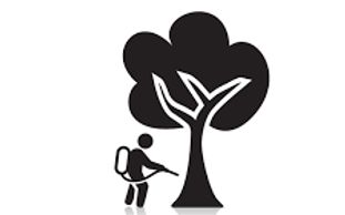 Tree Injection and Banding being completed by Aaron's Greenscape in Rockford & Northern Illinois