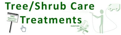 Tree / Shrub Care Treatment services in Northern Illinois | Rockford | Belvidere | Freeport | Dixon