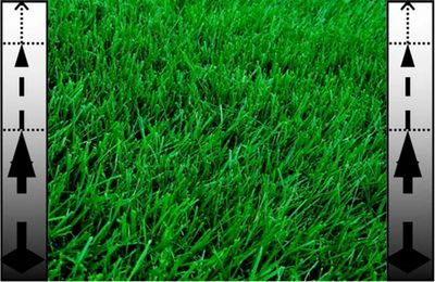 Slow lawn growth with regulation, keeping the lawn healthy green, looking trim longer & cut less.