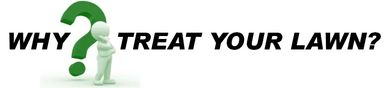Why? <meta name="description" content="Professional Lawn Care, Fertilization, and Lawn Maintenance>
