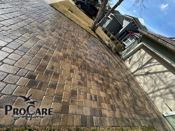 Professional paver restoration in Nocatee.