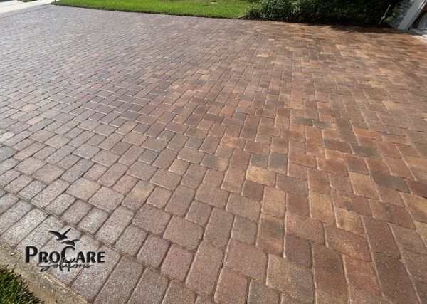 Premium patio sealing in King & Bear.