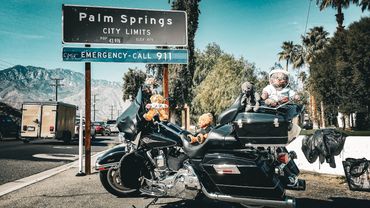 the ribbon warrior mc harley davidson motorcycle and hiv aids teddy bears in palm springs california