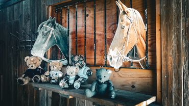 the ribbon warrior mc teddy bears in a barn movie set in joshua tree california