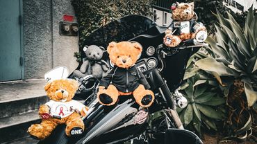 The Ribbon Warrior MC teddy bears and black Harley Davidson FLHTC in Los Angeles California