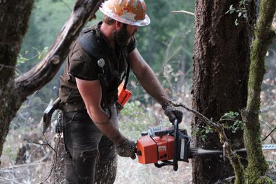 Professional loggers using MaxFlow MS661 air filter.