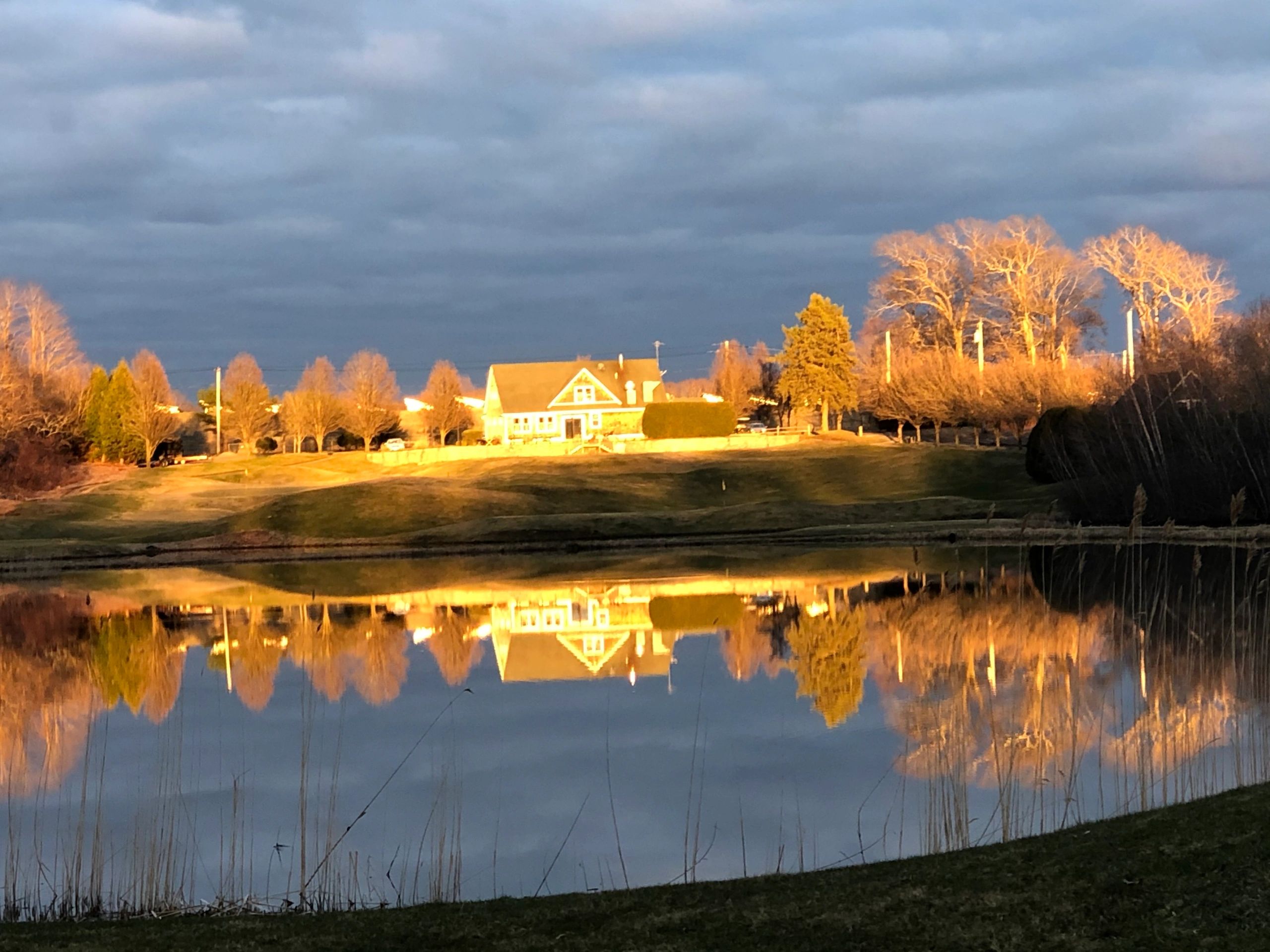 Rose Hill Golf Club Golf, Golf, Bar, Golf Courses