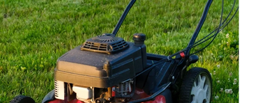 A red and black lawn mower cutting through tall grass and white flowers.