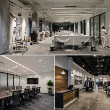 Modern open-concept office space finished with professional commercial painting