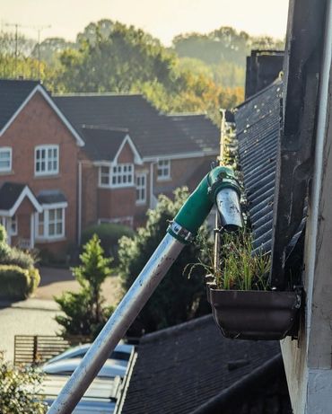 A gutter pipe with plants growing inside on a residential building.