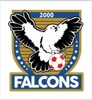 Falcons 2000 Soccer Club Inc.