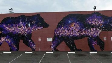<img alt: "Stret art of bears Piedmont">