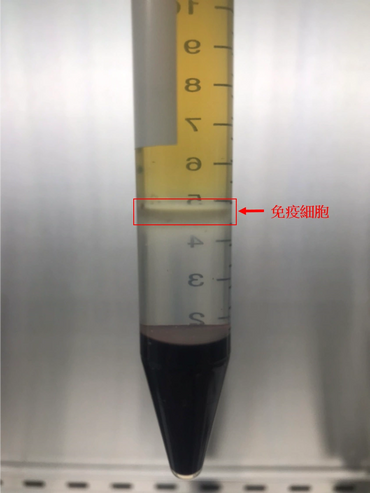 精準分離毛小孩珍貴免疫細胞
