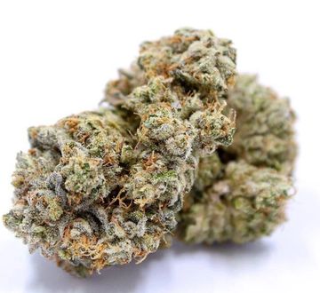 Close-up of frosty cannabis buds with orange hairs and crystals.