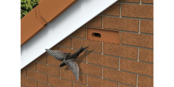 swift brick, RSPB, bird nest, swift nest, integral nest, bird, in situ swift brick,