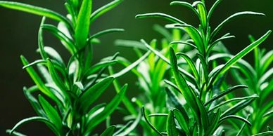 A great way to help you start the day with a clear mind, or get lost in a good book