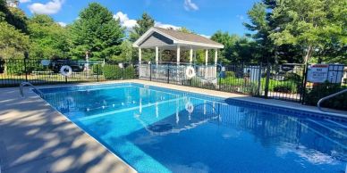 Outdoor swimming pool surrounded by trees and a small pavilion.