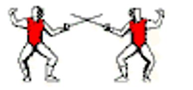 The target area in foil is just the fencer's torso area.