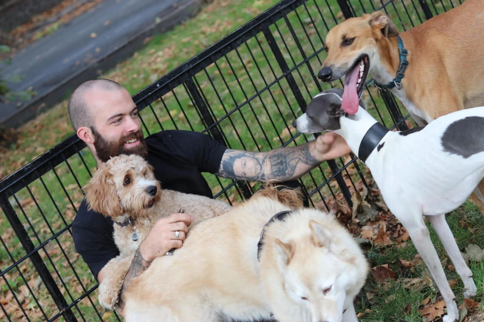 man stroking and holding dogs