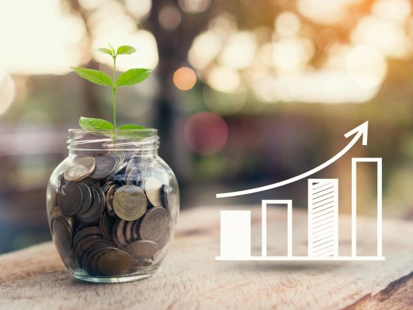 A plant growing from coins in a jar symbolizes financial growth.