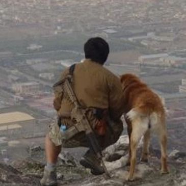 Brandon Ito | Puppy Rescue Mission Board