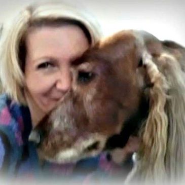 Starla Trivilino | Puppy Rescue Mission Secretary