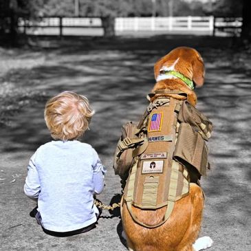 young boy with his military dog