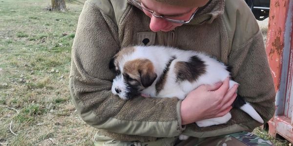 soldier holding cute puppy