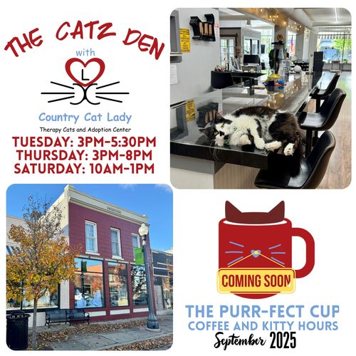 The Catz Den offers therapy cat visits and adoption with cozy coffee hours coming soon