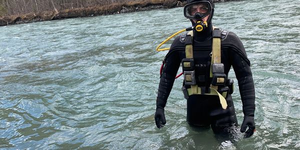 Diver dredging in cold fast Alaskan water.