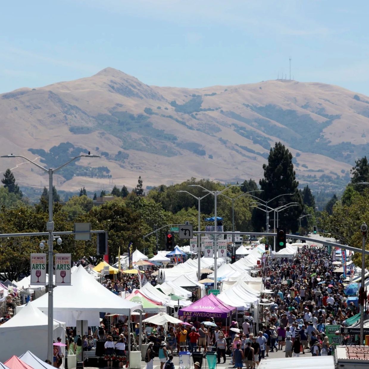 “Donna Kay Lau showcasing her hand-painted children’s clothing at the Fremont Art & Wine Festival —