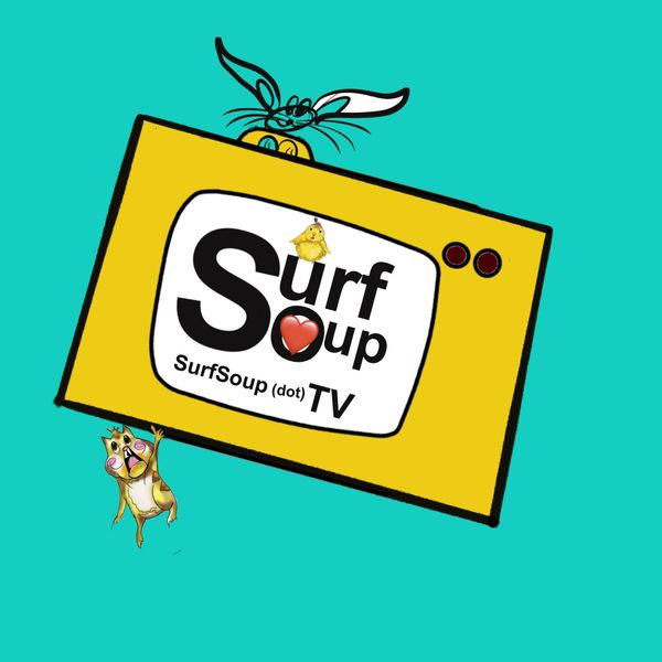Surf Soup TV Cartoon a television that hammy the hamster is carrying