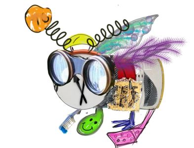 Surf Soup TV Show, Animated Enjoyment, Children's Illustrations, Kids' Fiction Books, Surfing