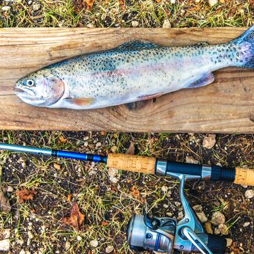 Lac idéal pour les amateurs de pêche et lac ensemencé à la truite arc-en-ciel, autres espèces achiga