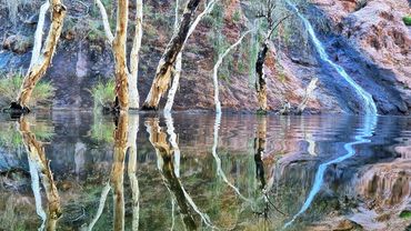 Stunning paperbark tree and waterfall reflections at Middle Springs Kununurra
