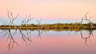 Silent Tours Sunset Tour