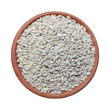 Barley, பார்லி
