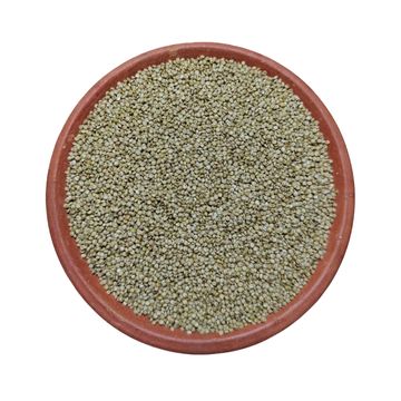 Brown Top Millet, குல சாமை